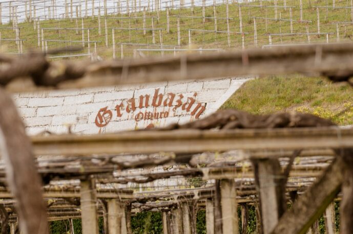 Capture d'écran 2026-01-16 112916
