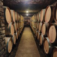 Chevillon (1)