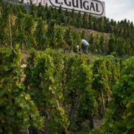 La Mouline (54) copier