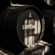 Lustau_bodega