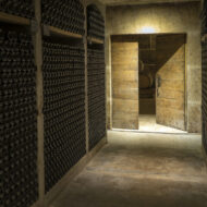 photos reçues aout 2022 (1)